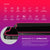NanoArmour for iPhone 12 mini Privacy Screen Protector